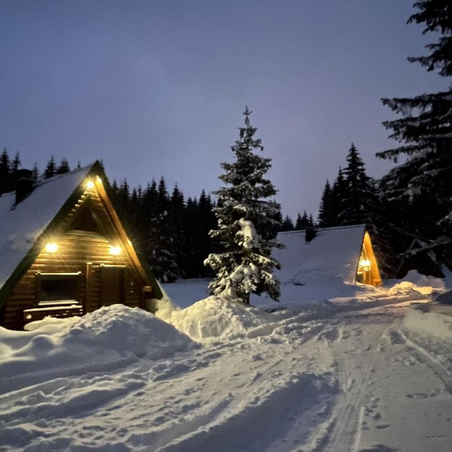 Rajska Suma Villa Zabljak  Bagian luar foto