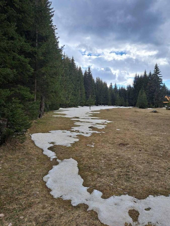 Rajska Suma Villa Zabljak  Bagian luar foto